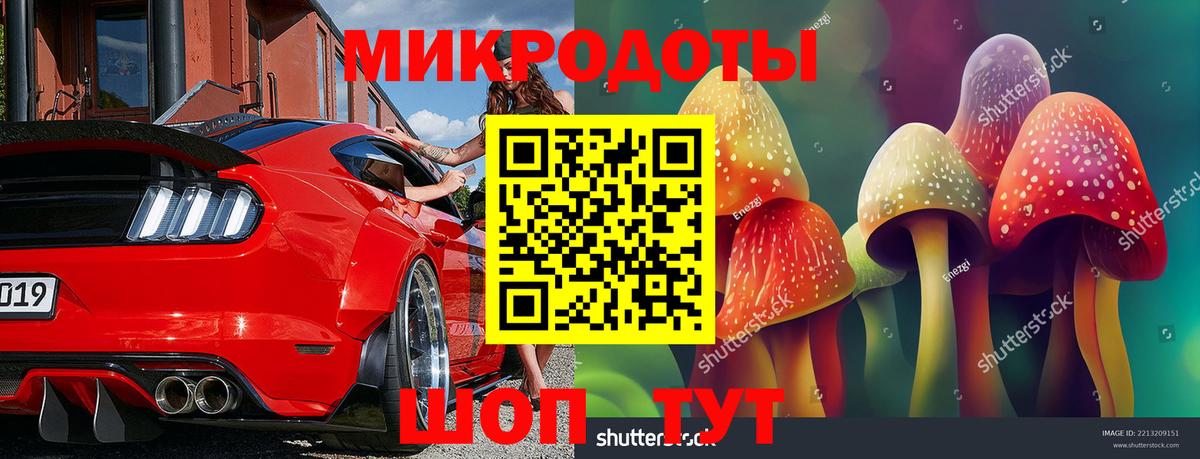 Галлюциногенные грибы Psilocybe Екатеринбург